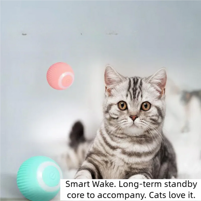 Interactive automatic rolling cat ball – photo 3 of 9